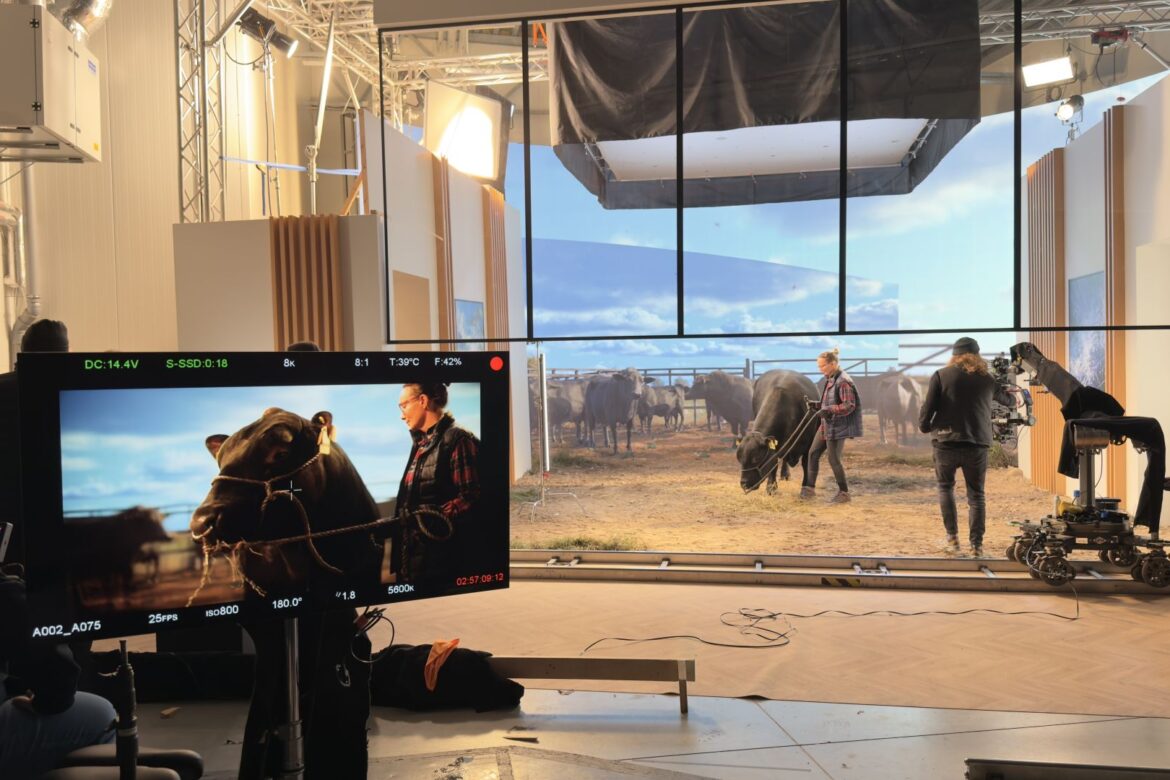 StoneX BTS 46
